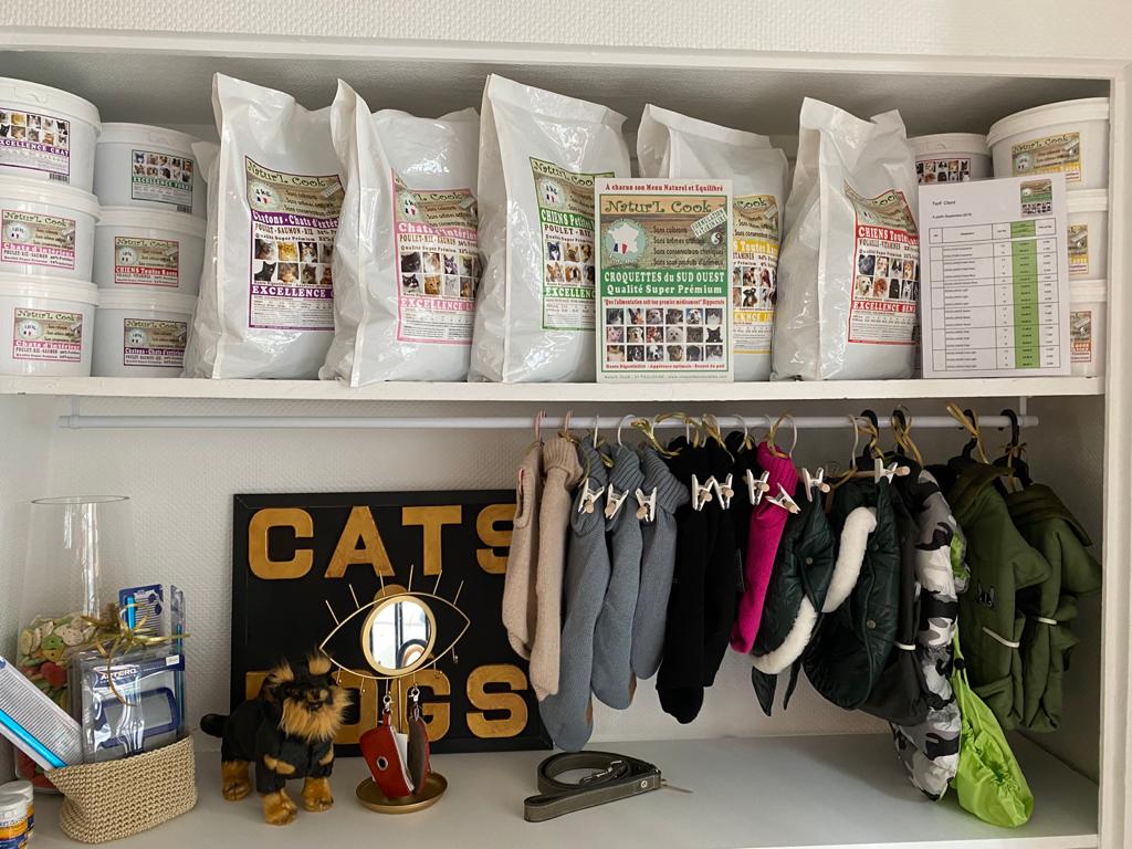 croquettes pour chien